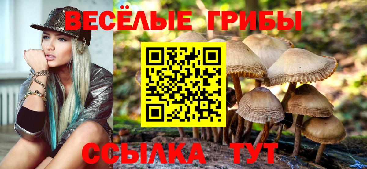 наркошоп  Псилоцибиновые грибы Magic Shrooms  Вход с VPN  Новороссийск 
