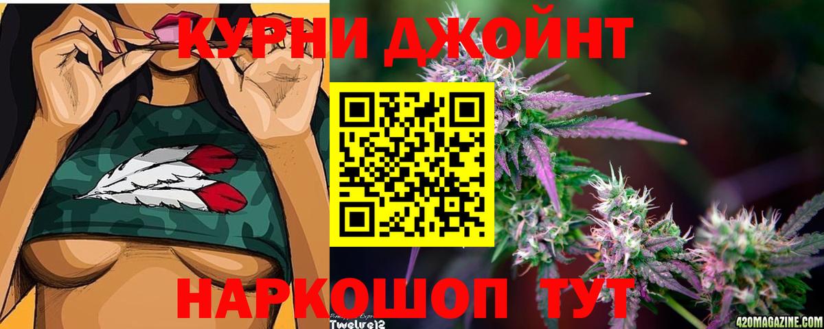 Канабис план Новороссийск